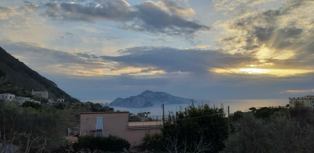 Il Profumo Di Capri *