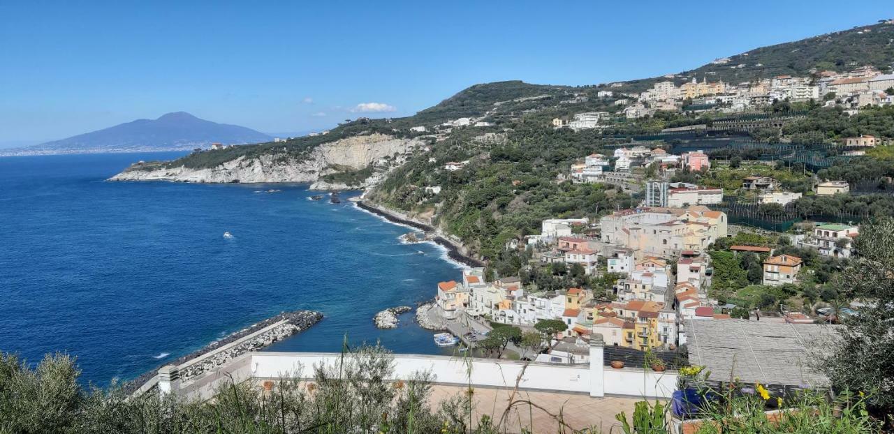Il Profumo Di Capri Hébergement de vacances