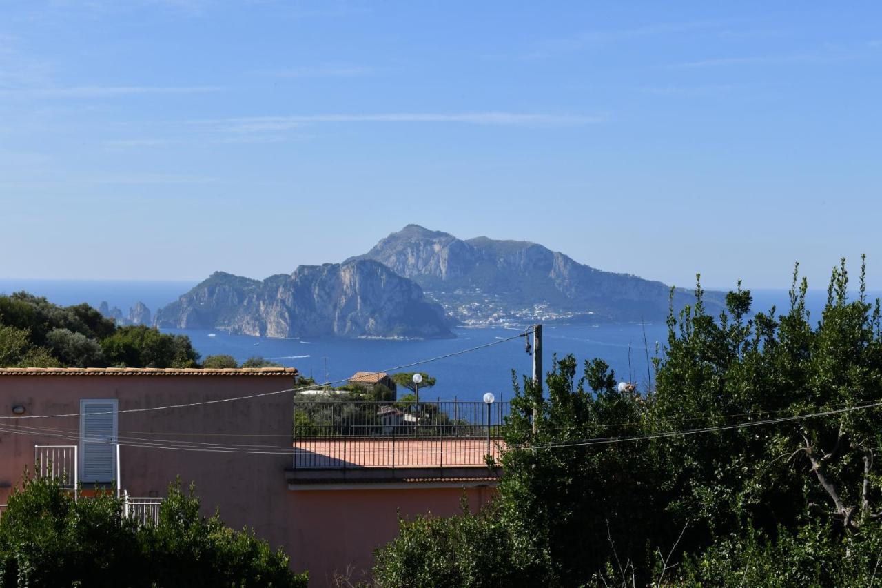 Il Profumo Di Capri *